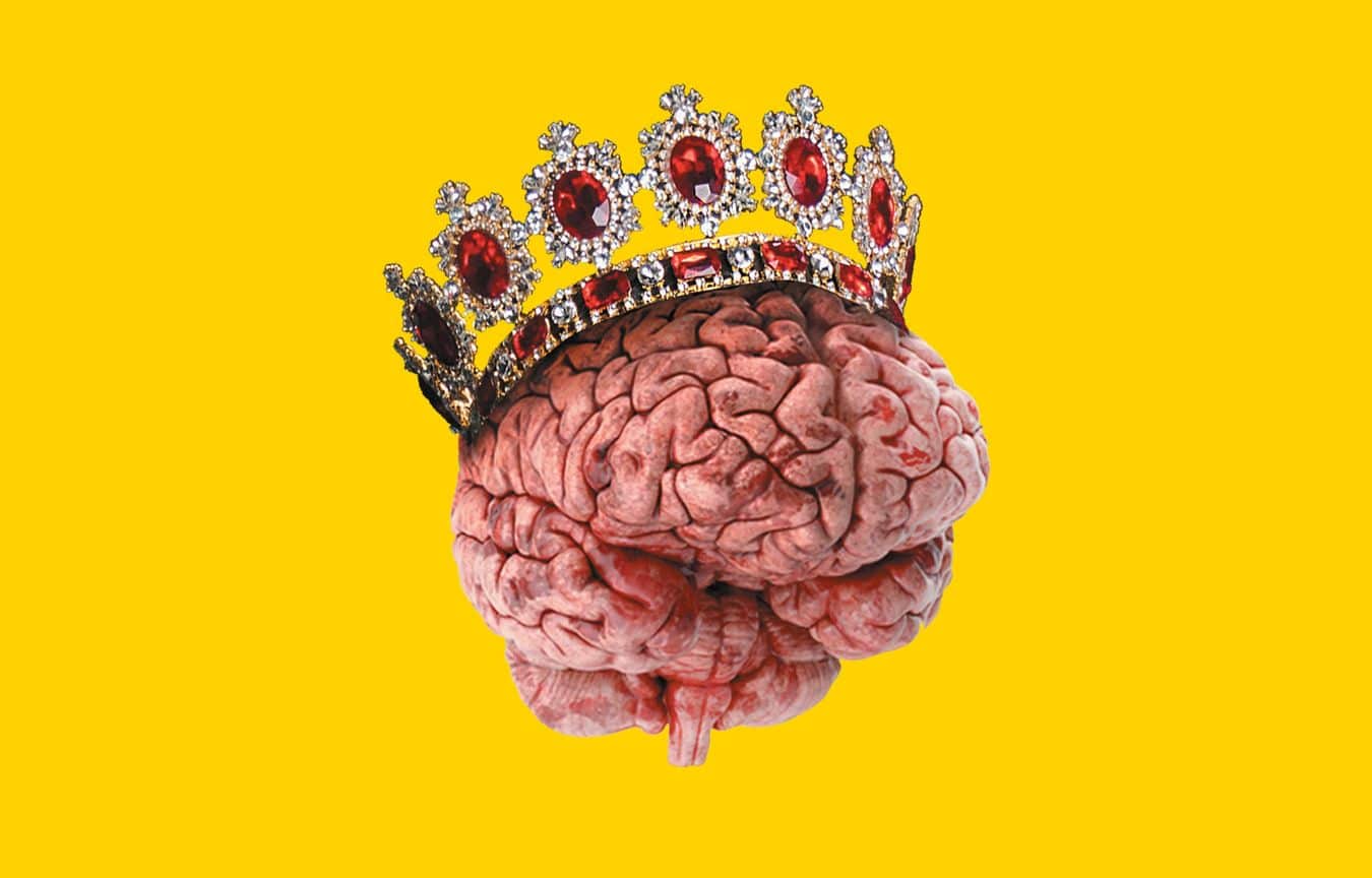 OMSI After Dark: Brain Storm image