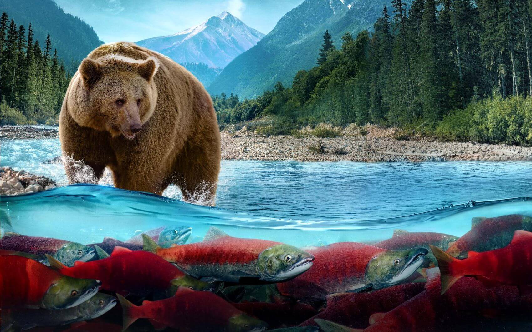 Reel Science: Running Wild