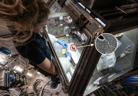 Pint of Science: Invisible Life image