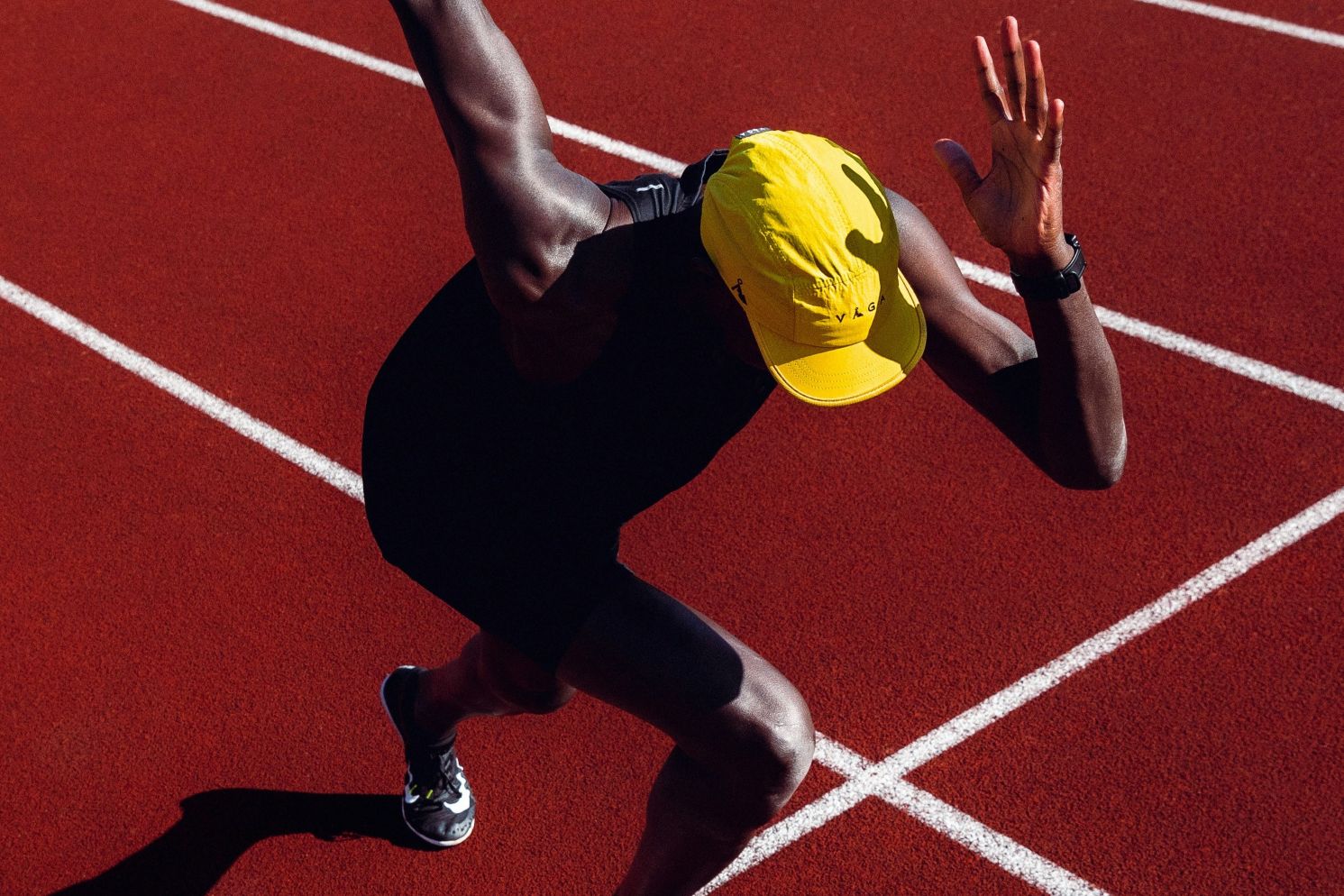 OMSI After Dark: The Human Body image