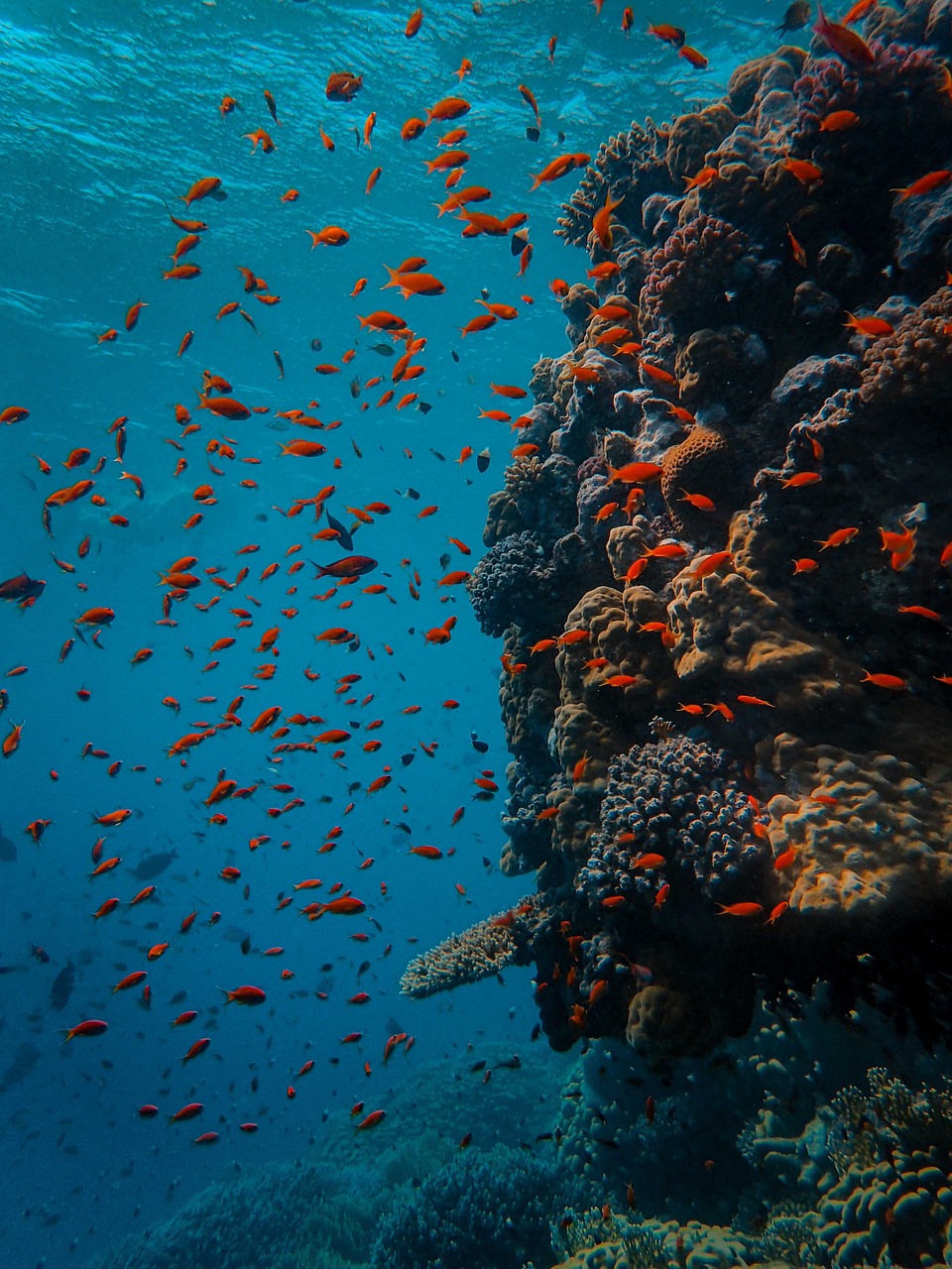 Science Pub: Beyond the Titanic Disaster