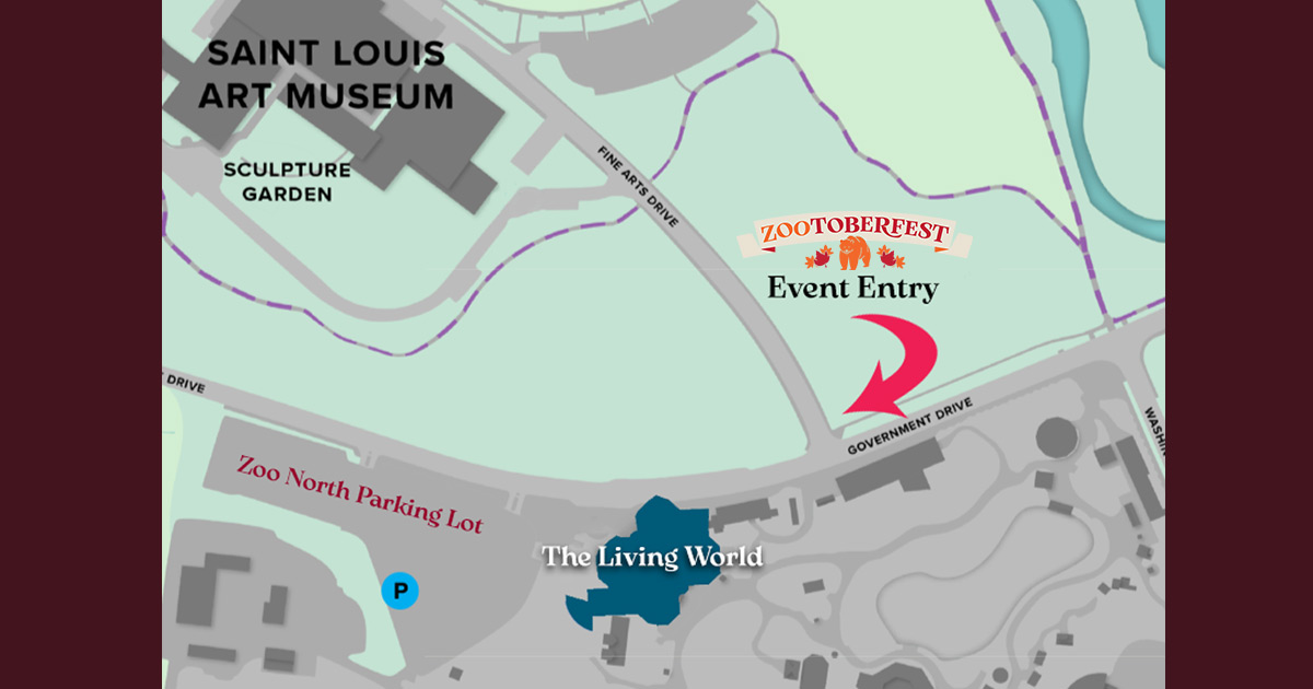 Zootoberfest at the Saint Louis Zoo (NEW evening event!) image