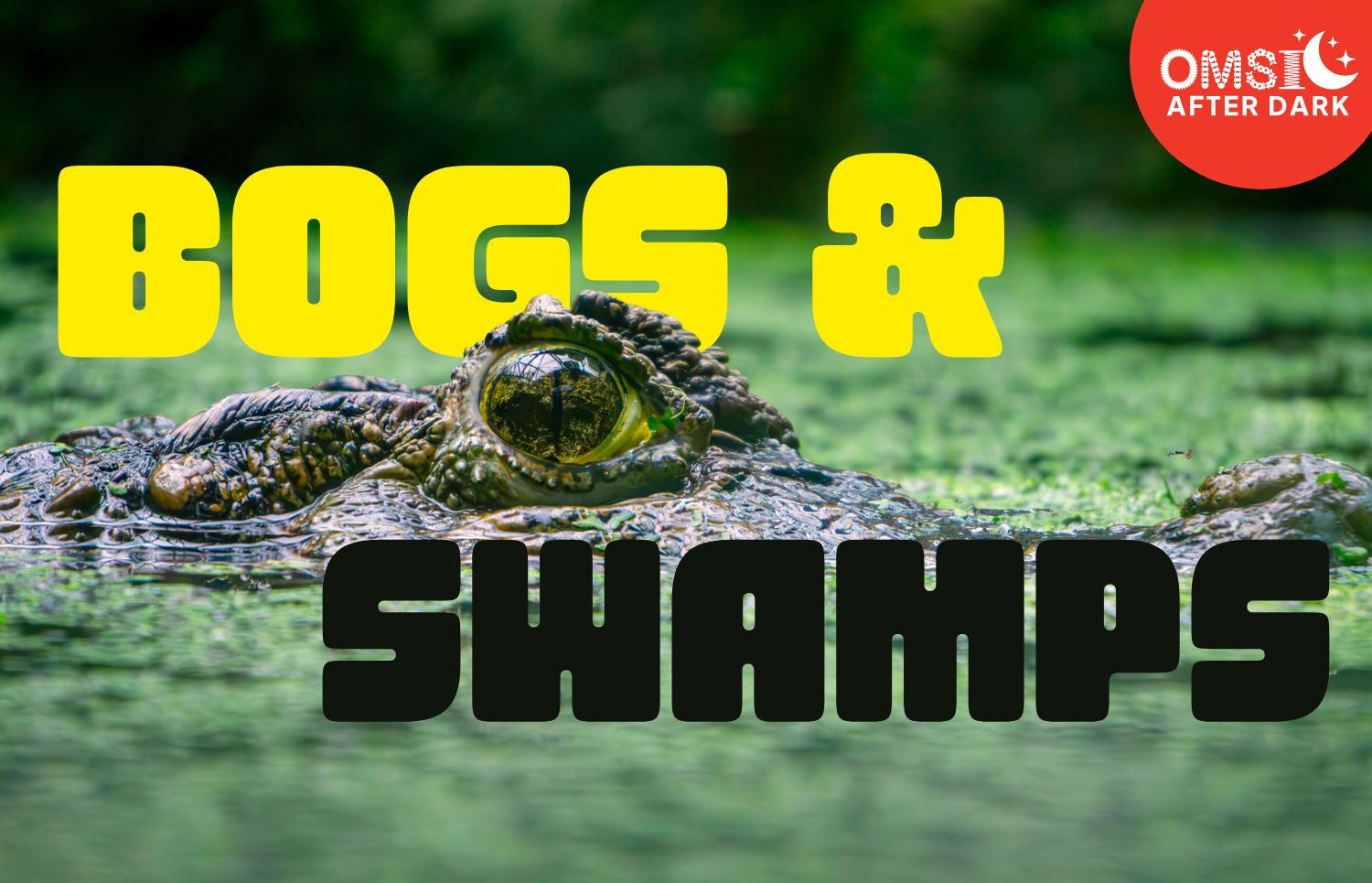 OMSI After Dark: Bogs & Swamps image